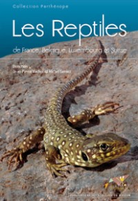 Reptiles_biotope