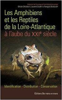 amphibiens-reptiles-44