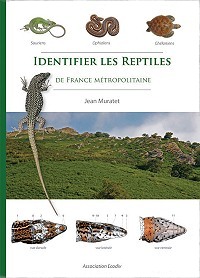 identifier_reptiles